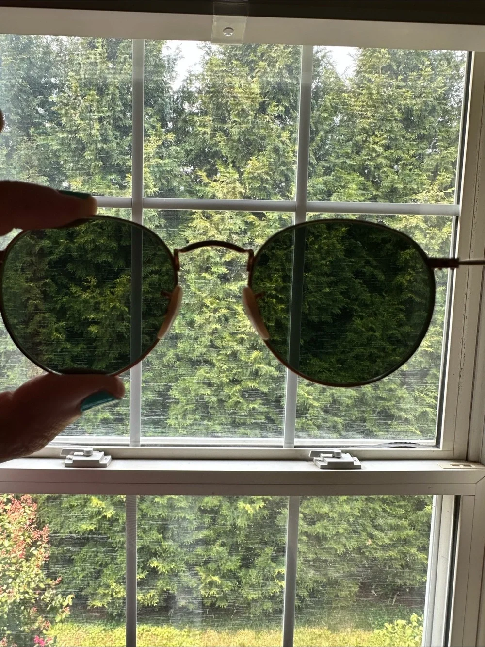 Ray-Ban Round Metal Gold Frame Polarized Sunglasses